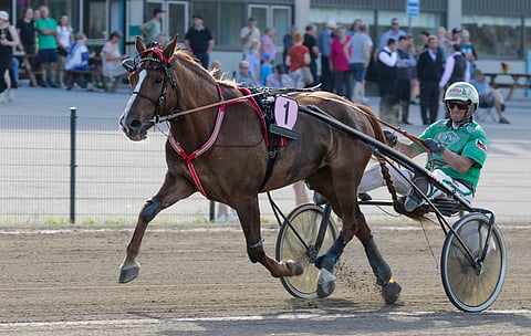 N.P. Liitotähti päätti sairastumisen myötä hienon kautensa. Tamma yli kaksinkertaisti voittosummansa kuluvan vuoden aikana. Se lähti kauteen hieman reilun 26 000 euron ansioilla, mutta nyt kasassa 62 750 euroa.