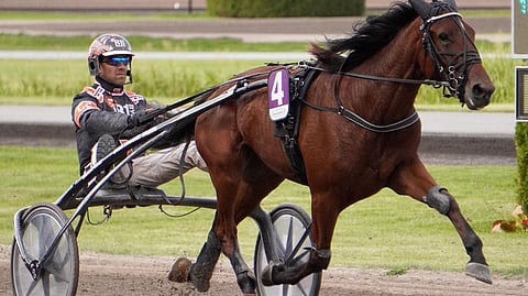 Mia Amore ja Claes Sjöström.