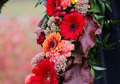 Mikä hevonen kukitetaan kriteriumvoiton kunniaksi?