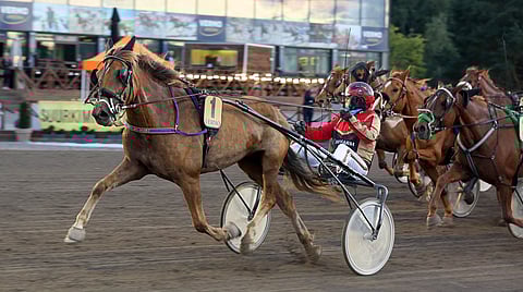Leppävirtalaistamma Helmi-Huki piti vaivatta hallittuun voittoon ennen takanaan seurannutta Aamulentoa.