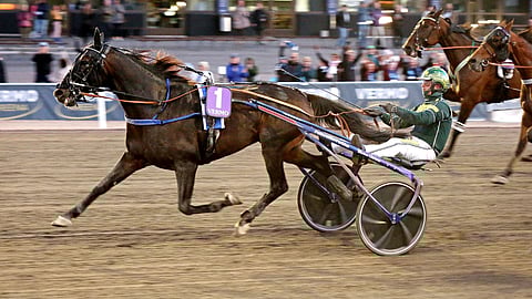 Bolt kronos on toinen ideavarmoista. Ori voitti viimeksi mailin ajalla 12,6aly.