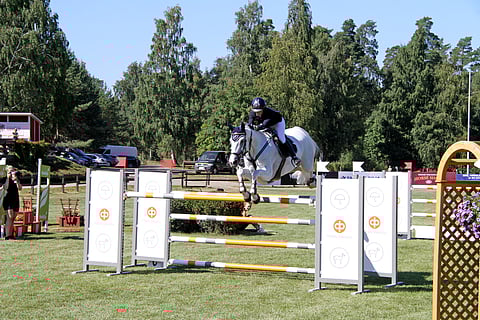 Susanna Granroth ja 11-vuotias tamma L'Espoir van Dorperheide siirtyvät sisälle.