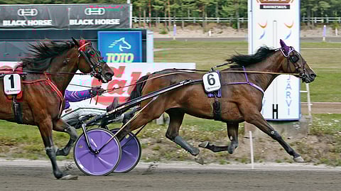 Stonecapes Violet juoksi 2100 metriä aikaan 15,0a.