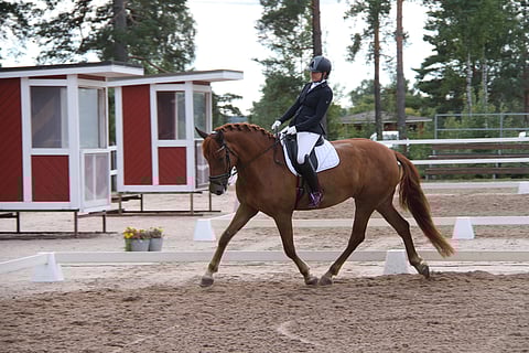 Leonora liikkui hienosti ja mielellään.