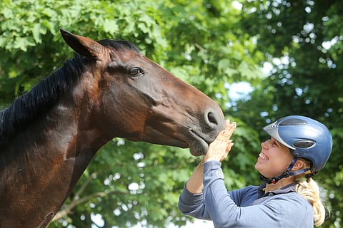Yvonne Österholm ymmärtää, että hevoset ovat hevosia.