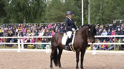 Taikatumma ja sen ratsastaja Tiina Hyssänmäki Kuninkaallisissa yleisön edessä.