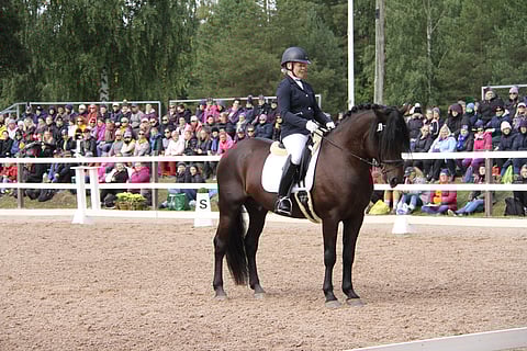 Taikatumma Kuninkaallisissa yleisön edessä.