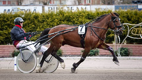 Meneväisellä Humirolla on aikaisemmin ollut vetolaput, mutta tänään varusteet hieman muuttuvat.