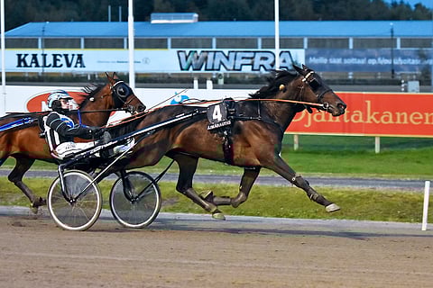 Kanssakilpailijoilla ei ollut rahkeita vastata Tuukka Variksen ohjastaman Enge Astarten tuliseen loppuvetoon. Ohjastajalupaus lähtee lokakuussa kokelasohjastajien EM-kilpailuihin Mallorcalle.