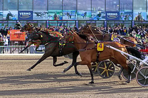 Tiukka maalintulo, mutta Dusktodawn Boogie oli nopein.