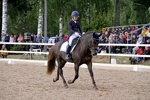 Anna Kärkkäinen ja Kulta-ahon Kasimir esiintyivät kürissään tutusti Sibeliuksen tahtiin.