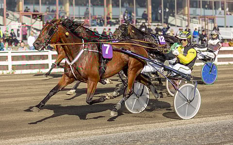 Zogo Match valloitti Tornion, mutta suursuosikki varmistetaan tällä kertaa ideasysteemissä. 