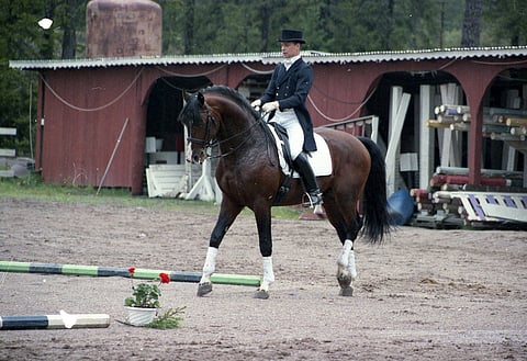 Jyri Malmström ja Mozart II 90-luvun puolivälissä.