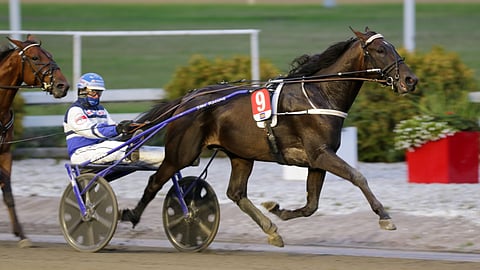 Corazon Combo lähtee Kriterium-finaaliin suosikkina.