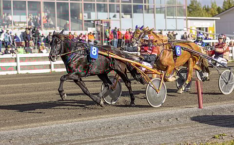 Hymynpilke ja Tapio Perttunen voittivat viime syksynä myös Torniossa.