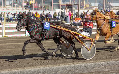 Hymynpilke vieraili Torniossa voitokkaasti viime vuonna.