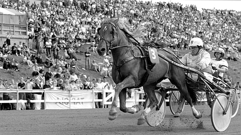 Apassi voitti toisen peräkkäisen ravikuninkuuden Rovaniemellä vuonna 2004.