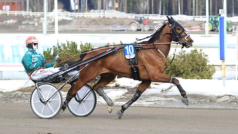 Vauhdikas Business School esitteli parastaan tutun kuskin Hannu Torvisen käsissä.  