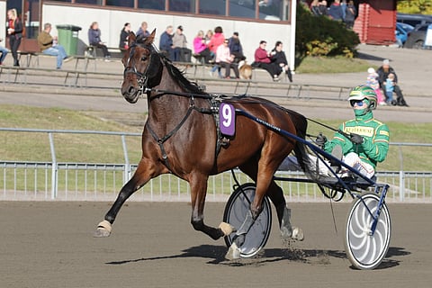 Banskyn tyylinäyte Lappeesta.