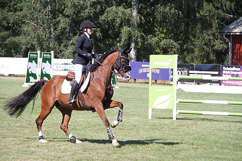 Hamont otti 145-GP:ssä sijoituksen.