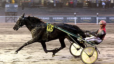 Suursuosikki Reload Pellini kävi ylikierroksilla. Kuva aiemmalta Vermon-visiitiltä.