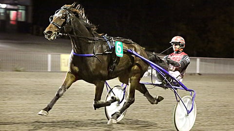 It's Raining Men on voittanut tällä kaudella viidesti.