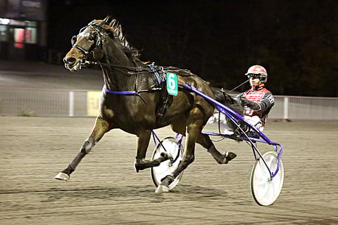 It's Raining Men karkasi kauas vastustajiltaan.