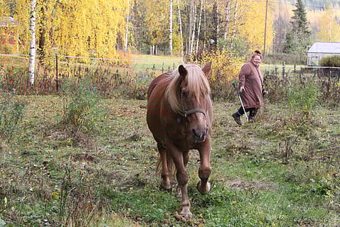 Uuras ja Tanja Lundsten kotona Mäntsälässä lokakuussa 2022.
