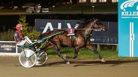 Sweet Gold johdatti ohjastajansa uudelle tuhatluvulle, kuten isoveli Sweetman viime vuonna.