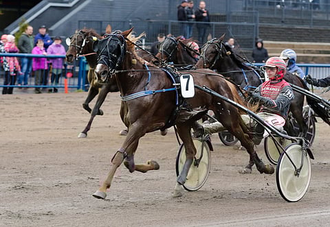 Quick Diablo voitti viime syksynä Kouvolassa ajetun 4100 metrin tasoitusajon.