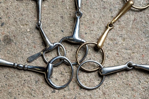 Kuolaimilla ei ole omaa standardia.