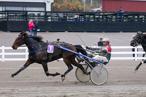 All Star Mint viettänee nyt hetken taukoa.