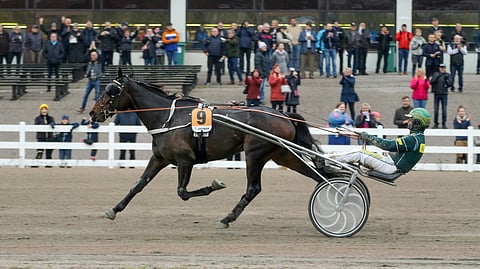 Let´s Get It Up meni kirivaiheessa menojaan ja voitti JTT-finaalin murskatyyliin.