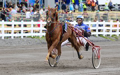 Vale-Elli oli ennen poisjääntiään suuri suosikki voittamaan lauantain Pikkuprinssin.