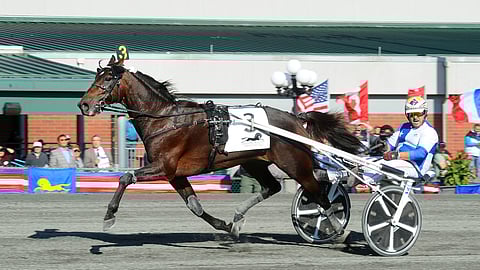 Vincenzo Dell'Annunziatan ajo Cokstilellä herätti viime vuonna paheksuntaa Euroopassa.