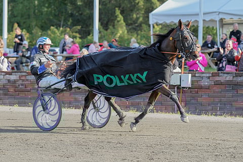 Kalistaja Kalle on mielenkiintoinen pelihevonen Satakunta-ajon toiseen karsintaan. Kuvassa valmentajaohjastaja Juha Nurminen High Profilen rattailla. 
