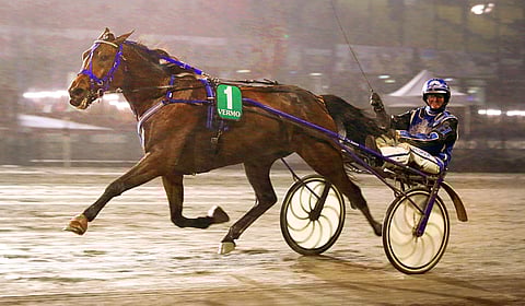 Henna Halme nosti piiskan pystyyn voiton merkiksi.