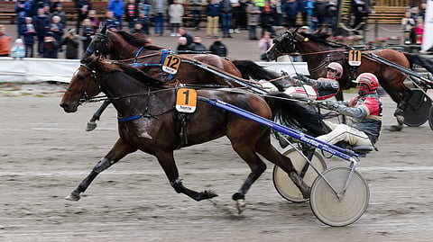 Viilipyttymäinen All Star Mint dominoi Tammer-ajossa.