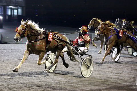 Sanahelinä jätti kovia kilpasiskoja taakseen.