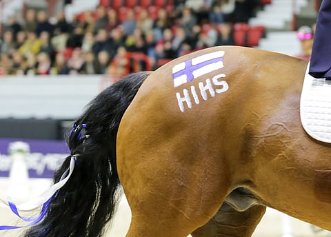 Tätä oli odotettu.