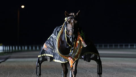 Evartti saapui Pohjoismaiden mestarina Turun voittajakehään.