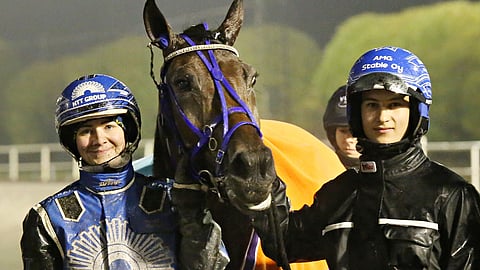 Marshall Matchin edellisestä voitosta ehti kulua melkein puolitoista vuotta. Henna Halme ohjasti, Aleksi Asp hoitaa hevosta.