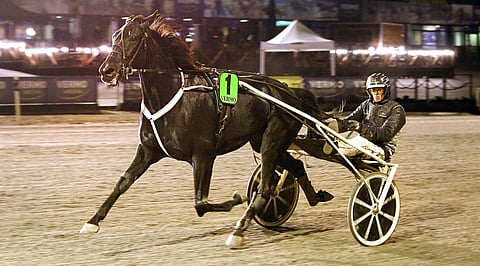 Truedream A.F. häikäisi Vermossa monella tapaa.