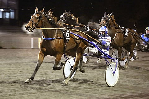 Strong Caviar kulki vielä viime syksynä mainiosti Pekka Korven valmennuksessa.