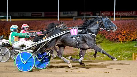 Kymmenvuotiaalle Mr Noonille Seinäjoen täysosuma oli uran kolmas.