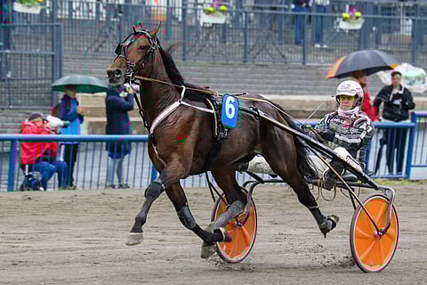 Jackandjones Sisun ura jatkuu näillä näkymin Ruotsissa.