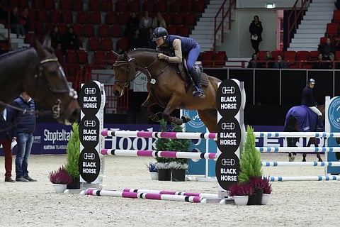 4v Lustig TS koeratsastajansa Nina Fagerströmin alla.