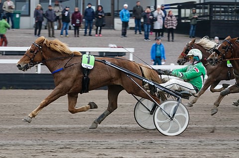Kuvassa Viisoria ohjastava Ari Moilanen jatkaa hevosen rattailla myös keskiviikkona.