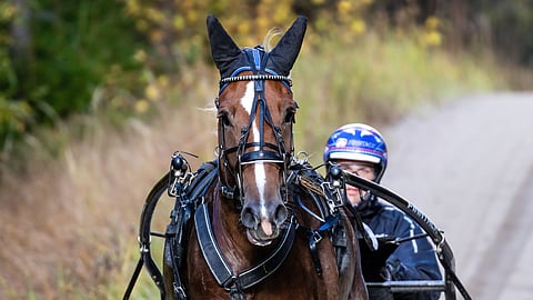 Työ ja vapaa-aika on nyt helpompi erottaa toisistaan.