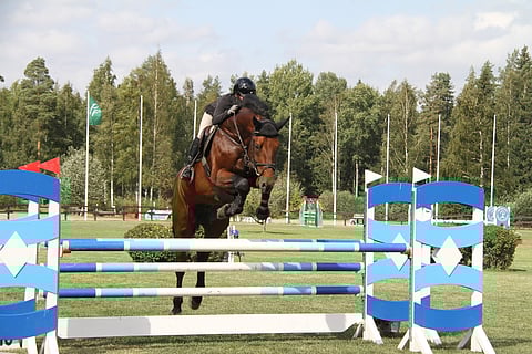 Riikka Harjula ja  Sammaliston tallin ST Inspector voittivat 5-vuotisderbyn viime vuonna.